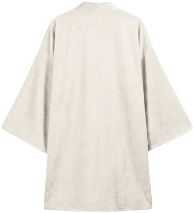 Capa de Gojo — posterior
