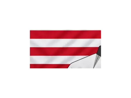 RYOMEN SUKUNA — BANDERA ESTADOS UNIDOS — detalle del sublimado
