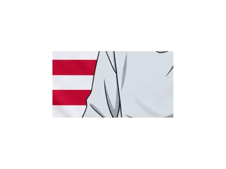 TOJI FUSHIGURO — BANDERA ESTADOS UNIDOS — detalle del sublimado