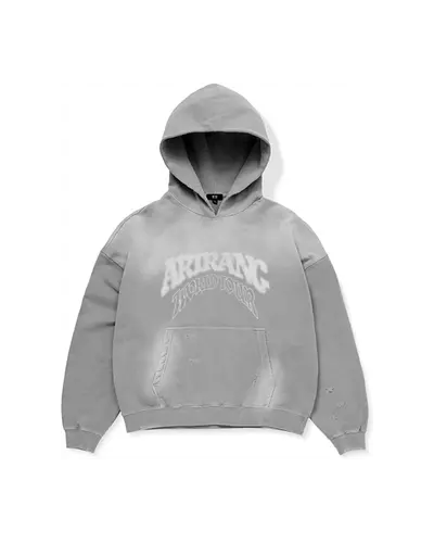 Hoodie Gray del Set-up