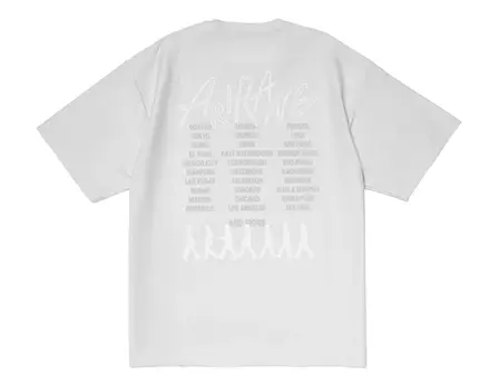S/S Tour T-Shirt Gray — posterior