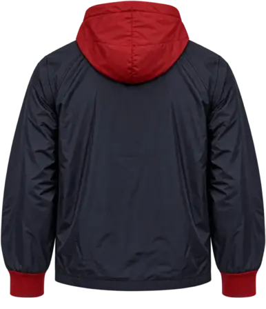 ITADORI CLASSIC v2 — posterior