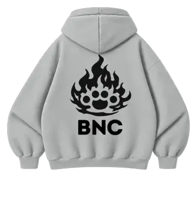 BNC 2 - VASCO — posterior