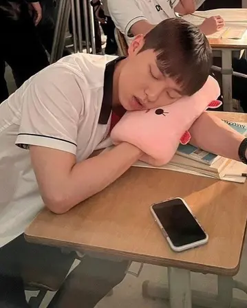 PILLOW SUHO — modelo